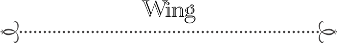 wing